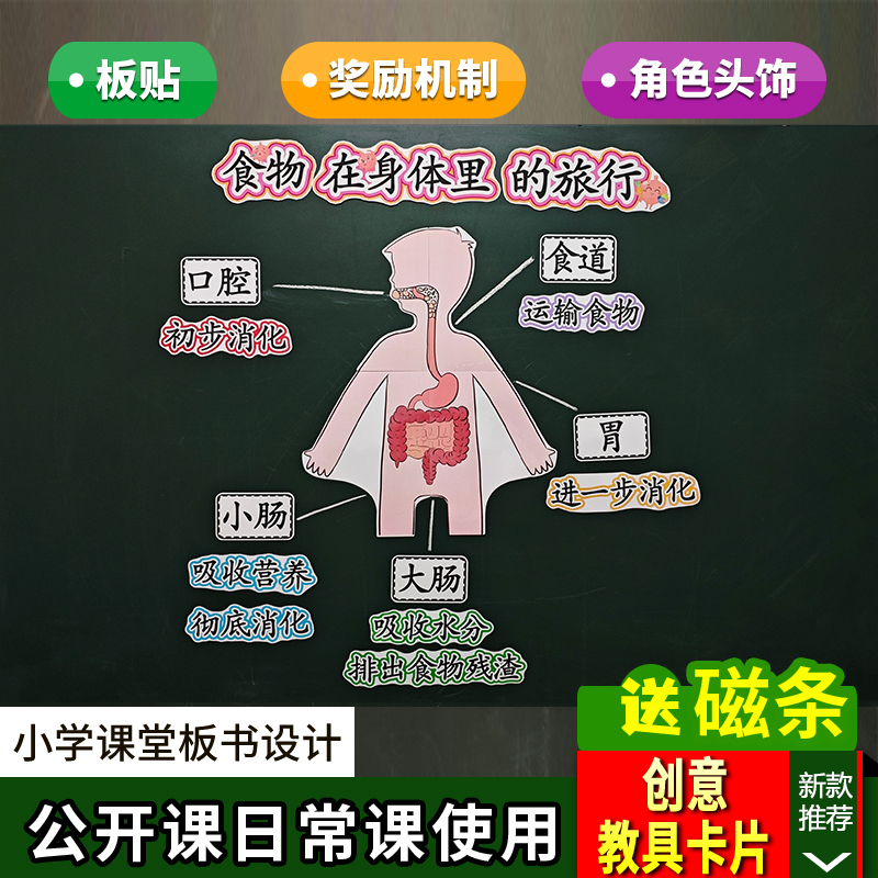 小学科学科教四上食物在身体里的旅行公开课教具板书设计比赛板贴
