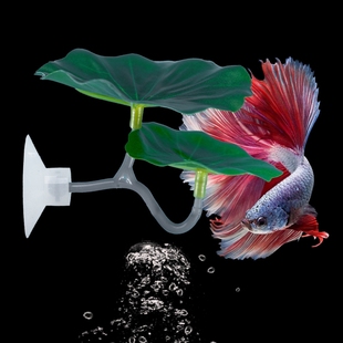 斗鱼休息床母鱼辅助产卵叶仿真水草床泰斗睡觉叶子鱼缸睡床躲避叶