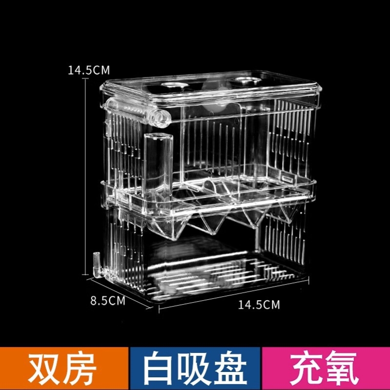 鱼下崽分离器孔雀鱼繁殖罐鱼缸隔离盒母鱼产房套装漂浮式孵化盒