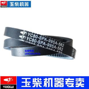 995风扇水泵发电机皮带客车货车YC4E SPA 玉柴4110发动机原装 YC80