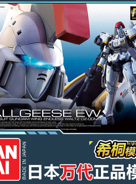 万代RG28托鲁基斯1EW版拼装模型