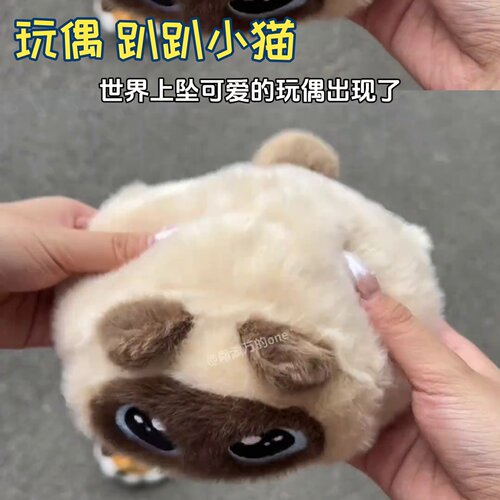 趴趴小猫豆袋玩偶治愈系萌物可爱胖嘟嘟猫咪捏捏情感陪解压超软羽