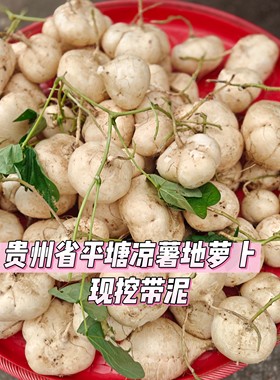 贵州农家新鲜凉薯白地瓜土瓜沙葛地萝卜白心现挖即食番薯