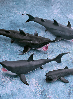 跨境仿真儿童认知海洋动物鲨鱼模型大白鲨巨口鲨静态装饰摆件玩具