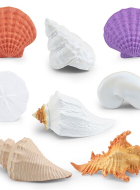 仿真海洋生物贝壳模型蝾螺鹦鹉螺沙美元骨螺海螺儿童认知摆件玩具
