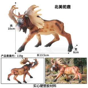 跨境实心北美驼鹿仿真丛林野生动物模型麋鹿雄鹿静态手办认知教具
