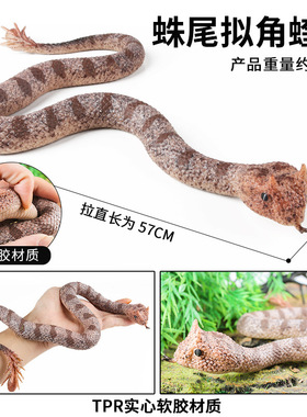 儿童认知TPR大号实心软胶蛛尾拟角蝰蛇假蛇玩具蛇眼镜蛇万圣节