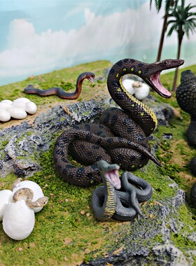 跨境仿真儿童认知动物成长周期模型眼镜蛇蟒蛇生长变化玩具摆件