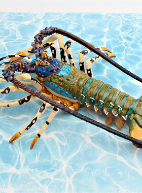 儿童仿真海洋动物实心大号波纹龙虾模型澳洲龙虾海底生物摆件玩具