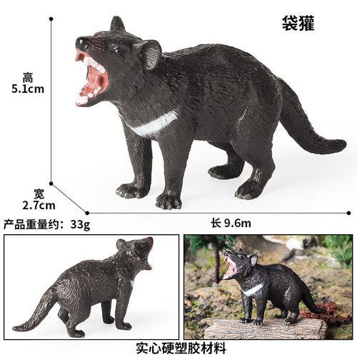 跨境动物模型袋獾站立小熊猫犰狳