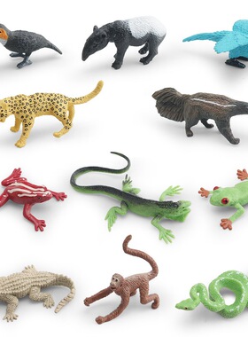 仿真儿童雨林动物模型巨蜥树蛙蜘蛛猴食蚁兽树蟒巨嘴鸟凯门鳄摆件