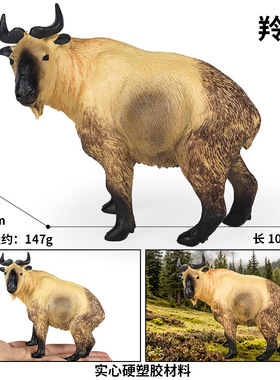 仿真野生动物模型实心动物玩具金毛扭角秦岭羚牛瘤牛儿童认知摆件