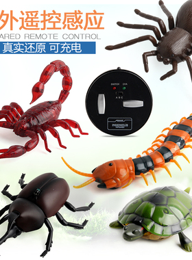 儿童遥控充电动昆虫男女孩独角仙萤火虫蛇仿真动物玩具整人整蛊