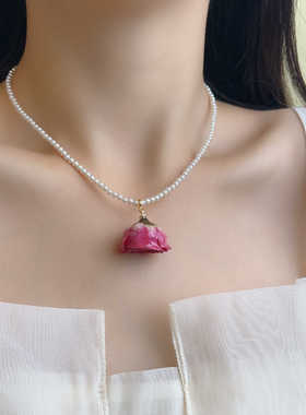 天然真花干花玫瑰花项链女2025年新款爆款小米珠串珠项链颈链配饰