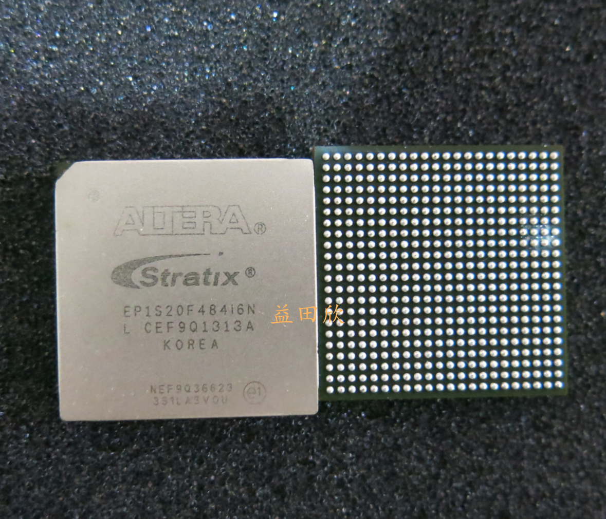 EP1S20F484C7各尾缀有