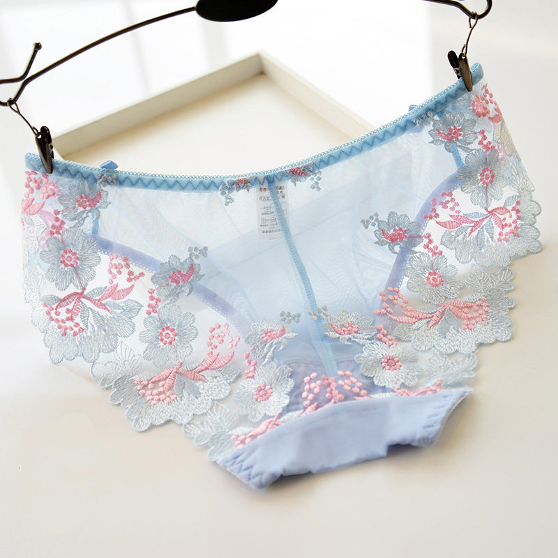 Slip jeunesse H8076 en coton - Ref 646142 Image 7