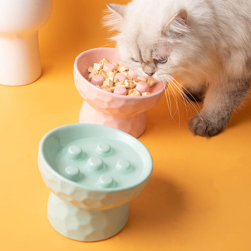 高脚陶瓷猫碗狗狗缓食盆花朵慢食碗防噎狗食盆猫咪食盆宠物猫粮碗