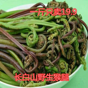 长白山新鲜山野菜猴子腿猴腿菜 蕨菜多齿蹄盖蕨绿茎菜紫菜3斤包邮