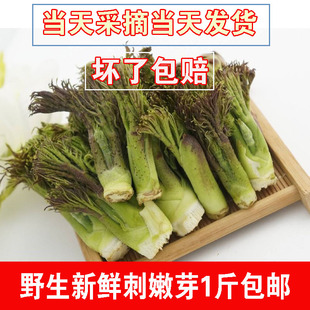 野生 刺嫩芽新鲜贵州山野菜刺老芽刺笼芽苞500g非东北刺龙包免邮