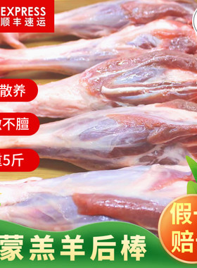 羔羊后棒羊后腱子肉羊小腿新鲜内蒙古草原散养羔羊后腿肉烧烤食材