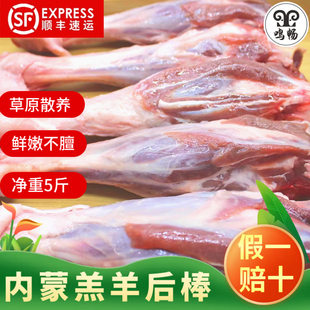 羔羊后棒羊后腱子肉羊小腿新鲜内蒙古草原散养羔羊后腿肉烧烤食材