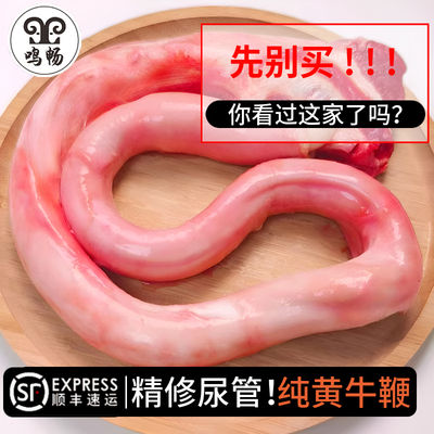 现杀正宗黄牛鞭净重整根精修尿管