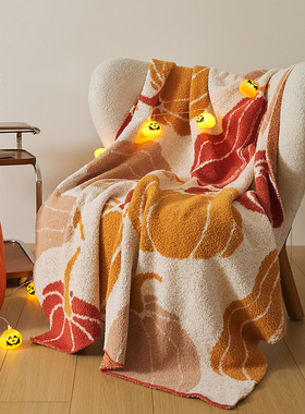 南瓜献瑞~写实风春夏半边绒盖毯沙发毛毯航空盖腿空调毯子装饰毯
