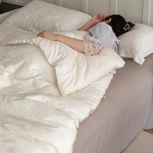 A类至臻大豆被四季通用被子被芯