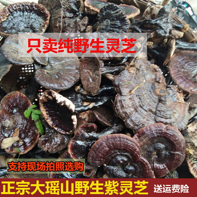 野生灵芝 广西大瑶山自然生长正宗紫灵芝黑灵芝整枝甘香不苦250g