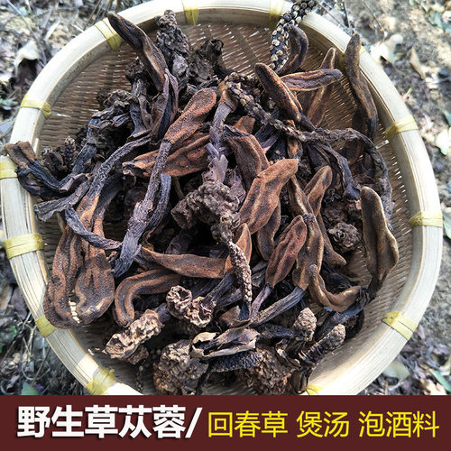 顶天柱泡酒料草苁蓉回春草不老草