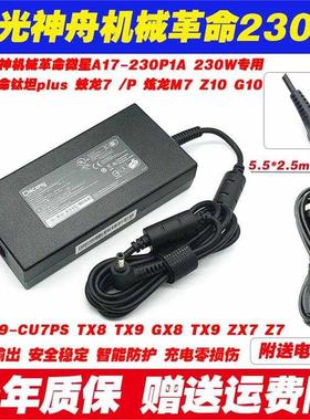 神舟230W充电器战神GX8 TX8CT7DK CT5DH CU5DA笔记本电源适配器