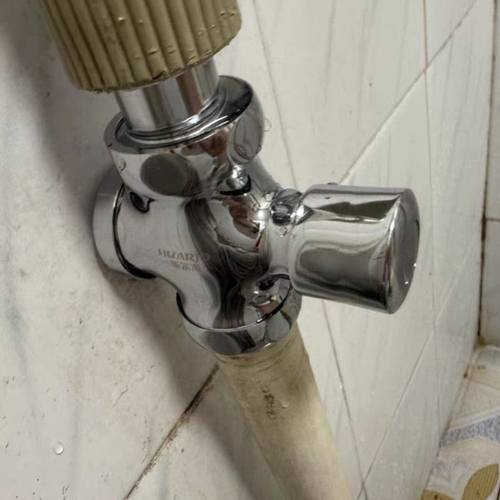 卫生间延时按压式冲水阀蹲便器大便冲洗阀厕所手按阀门带弯头开关