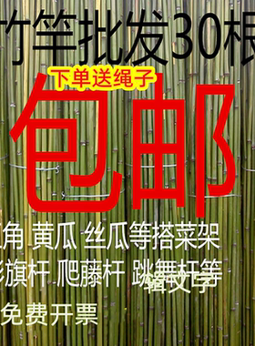 小竹子菜园搭架户外篱笆豆角