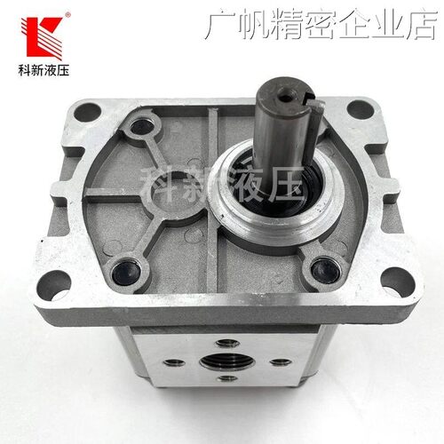 新品可开票对公/314/316/318/32306/308/310/312齿轮泵CBN-F304/0