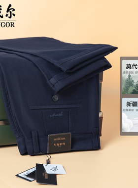 专柜880雅戈尔DP免熨休闲裤男直筒微弹高端长裤秋冬季DP319997FWA