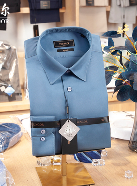 专柜1680雅戈尔男士衬衫长袖200支免烫纯棉高端秋季VLTP119697HJY