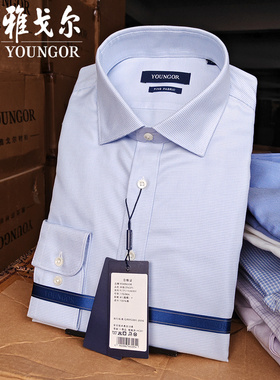 雅戈尔长袖衬衫男蓝色高支纯棉免烫寸衫休闲修身男装寸衫11538HBY