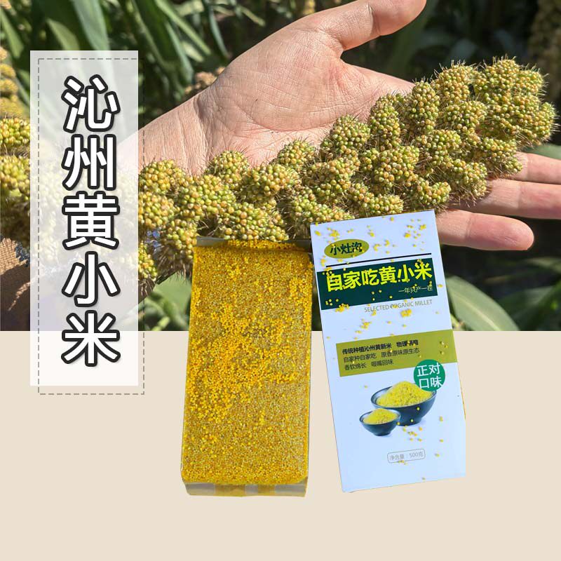山西沁州沁县自家吃黄小米小灶沟杂粮小米 大公鸡力荐