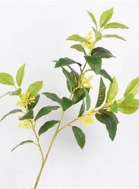 仿真桂花树叶长枝假树枝造景装饰叶落地金桂花摆件酒店餐厅桂花