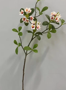 仿真植物海岛春花叶 多瓣叶 马醉木叶 吊钟叶网红民宿家居装饰