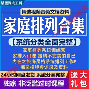 海灵格家庭排列系统训练营课程经典心理学咨询与治疗入门视频教程