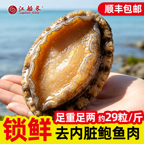 新鲜鲍鱼熟冻海鲜福建水产