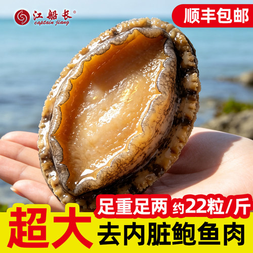 福建速冻大鲍鱼冷冻去壳鲍鱼