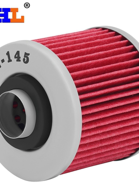 AHL适配雅马哈 竞速之星DS1100 BT1100 机滤 TDM900机油滤芯 机滤