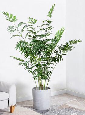 仿真绿植植物盆栽德宝苏铁假树家居室内大型落地装饰造景假树