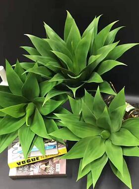 仿真龙舌兰摆件沙生植物景观造景搭配仿真绿植假植物假花
