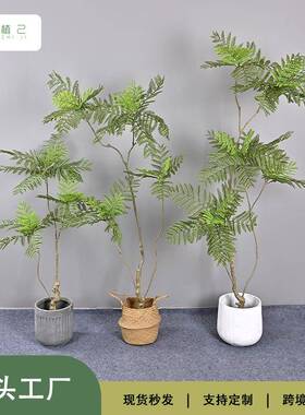 仿生绿植蓝花楹软装造景家居摆设商场橱窗蓝花楹
