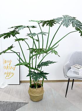 北欧仿真绿植万寿木客厅家居商场庭院落地龟背树盆栽摆件装饰假树