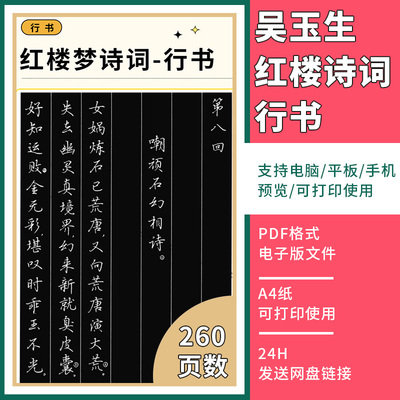 吴玉生行书成人中小学生高效练字