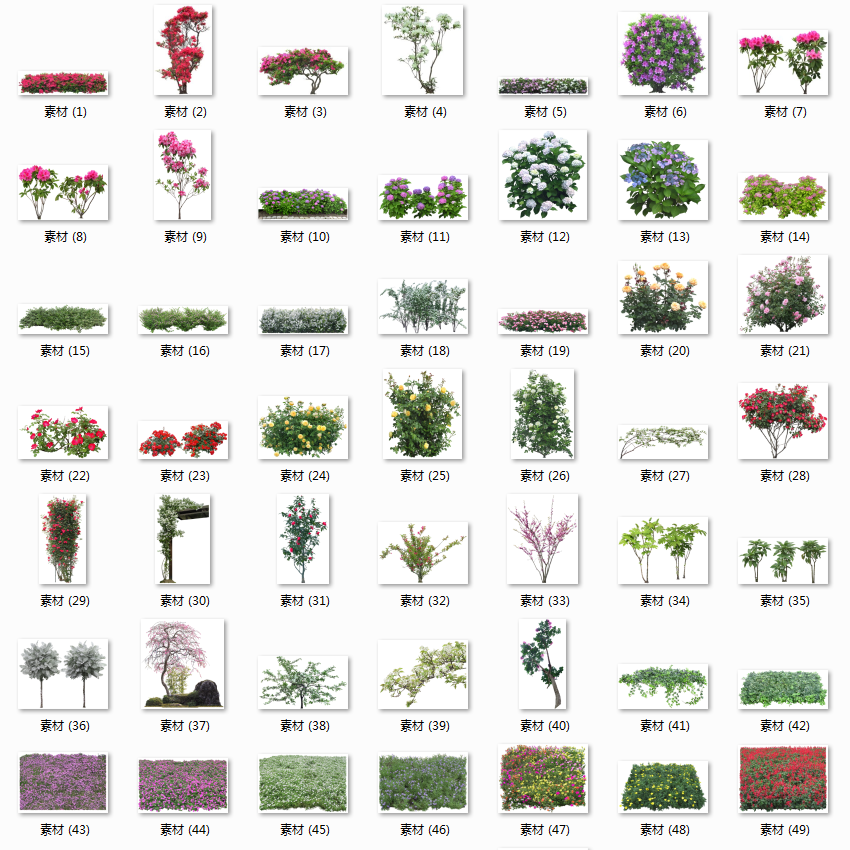 白底素材彩色园林植物psd平面图景观花草草图大师ps花卉